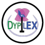 Dypilex IT